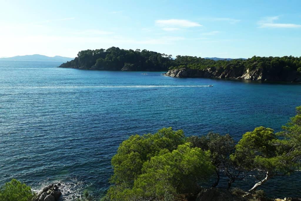 T2 Clim Parking, Entre Nature Et Plage イエール エクステリア 写真