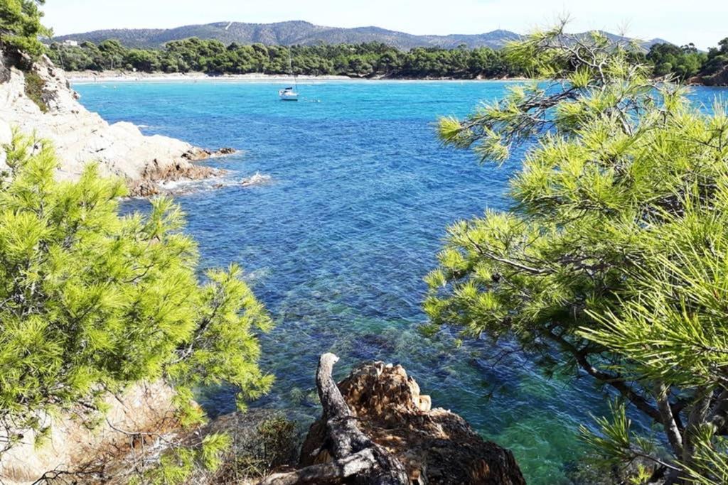 T2 Clim Parking, Entre Nature Et Plage イエール エクステリア 写真